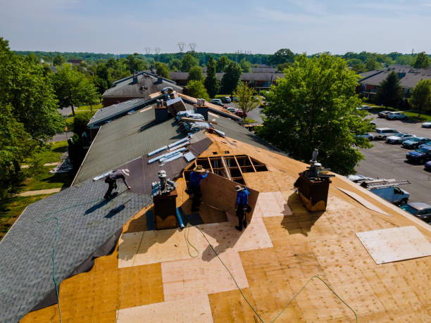 Best Storm Damage Roof Repair  in Lamont, CA