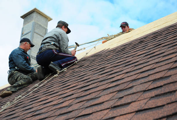 Best Roof Gutter Cleaning  in Lamont, CA